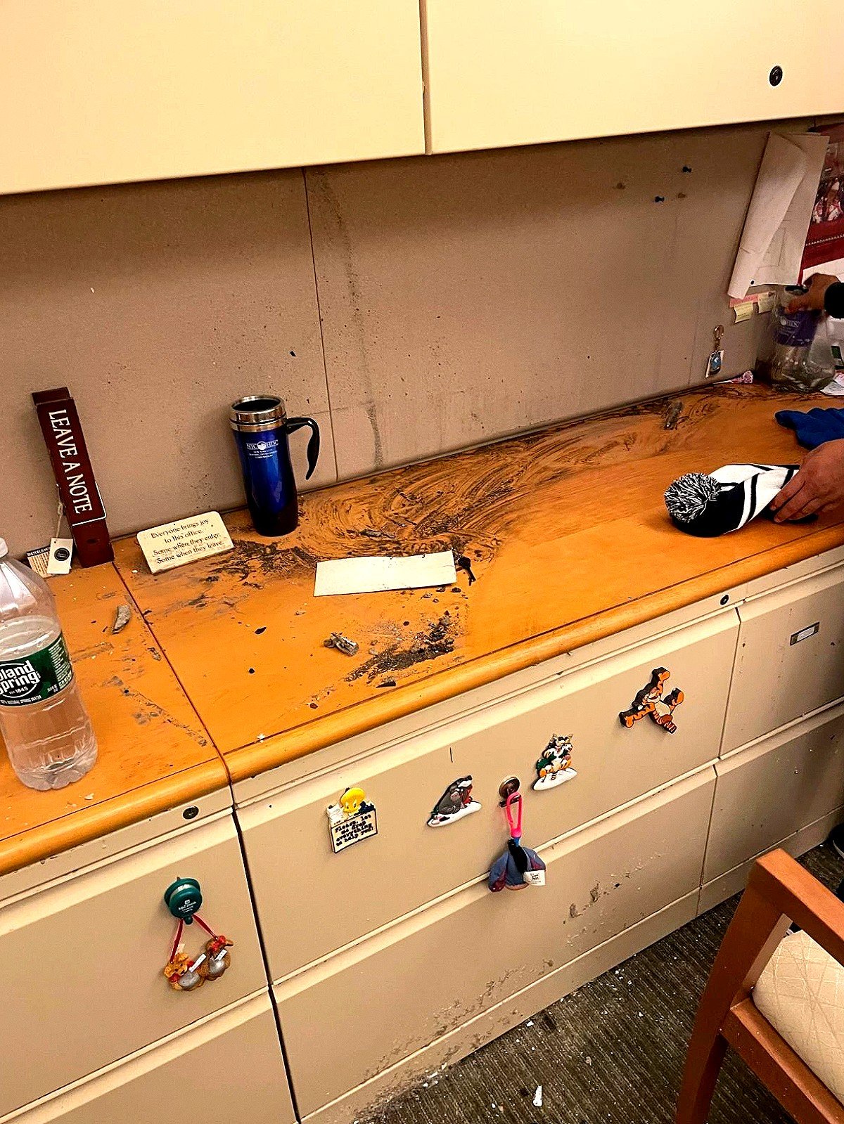 Basement Water Damage Repair Gilbert, AZ